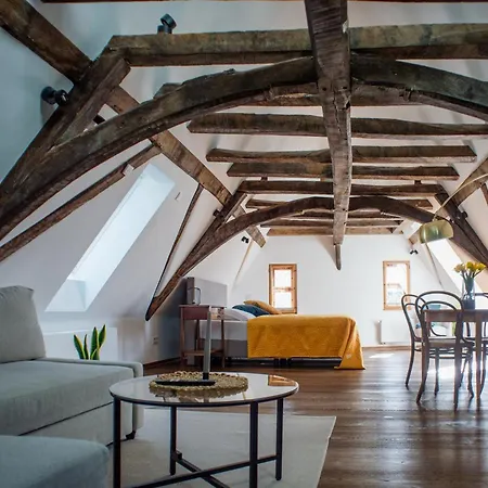 Goldener Löwe Apartment
