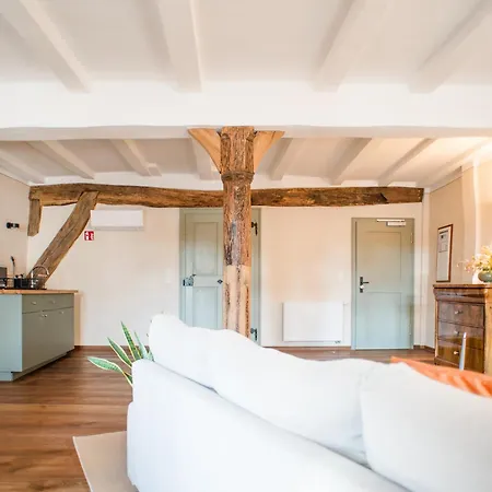 Apartment Goldener Löwe *