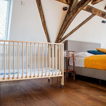 Apartment Goldener Löwe