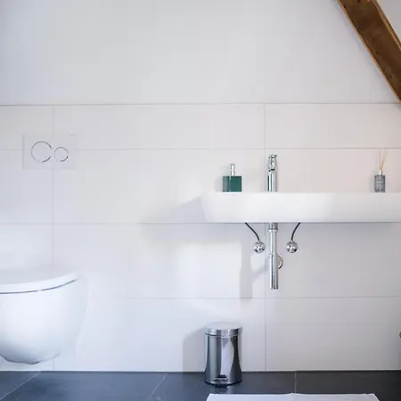 Apartment Goldener Löwe