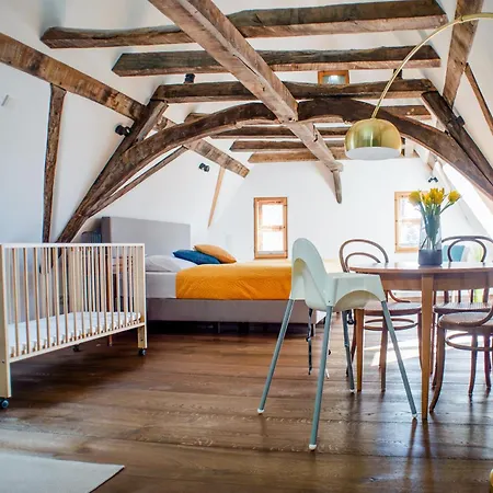 Apartment Goldener Löwe *